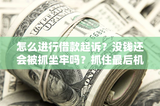 武汉怎么进行借款起诉？没钱还会被抓坐牢吗？抓住最后机会！