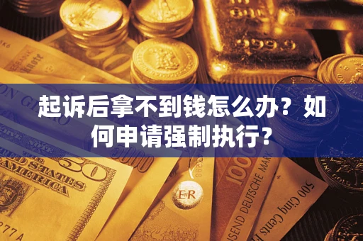 武汉起诉后拿不到钱怎么办？如何申请强制执行？