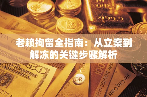 武汉老赖拘留全指南：从立案到解冻的关键步骤解析