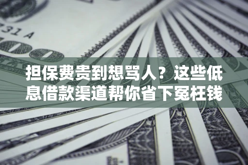 武汉担保费贵到想骂人？这些低息借款渠道帮你省下冤枉钱