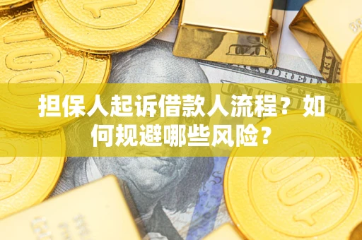 武汉担保人起诉借款人流程？如何规避哪些风险？