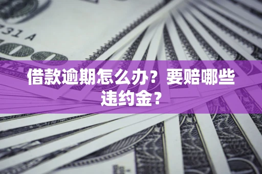 武汉借款逾期怎么办？要赔哪些违约金？