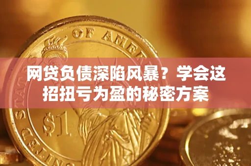 武汉网贷负债深陷风暴？学会这招扭亏为盈的秘密方案