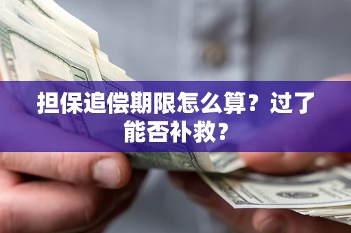 武汉担保追偿期限怎么算？过了能否补救？